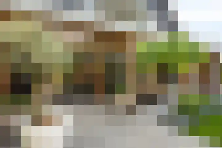 Brugdam 13 Almkerk thumbnail 42