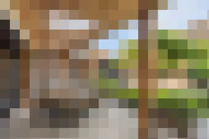 Brugdam 13 Almkerk thumbnail 44