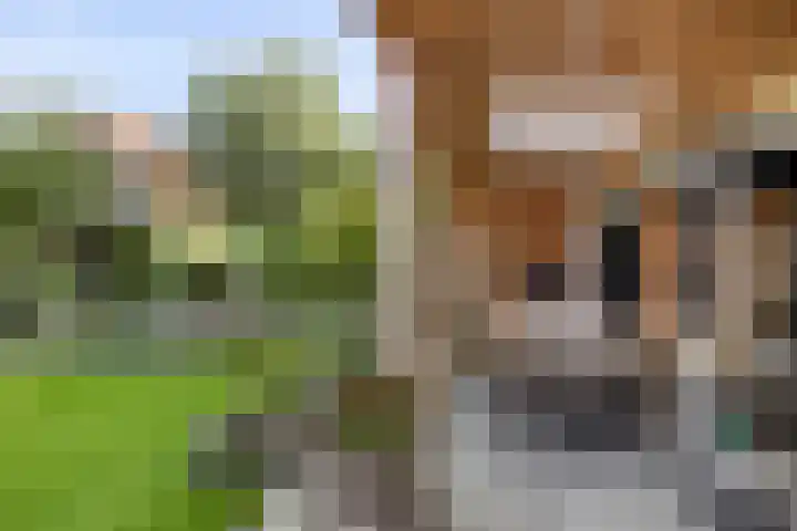Brugdam 13 Almkerk thumbnail 45