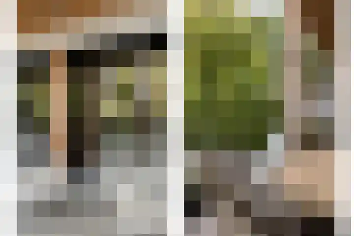 Brugdam 13 Almkerk thumbnail 46