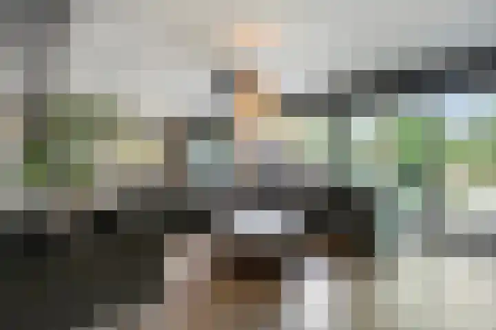 Brugdam 13 Almkerk thumbnail 7