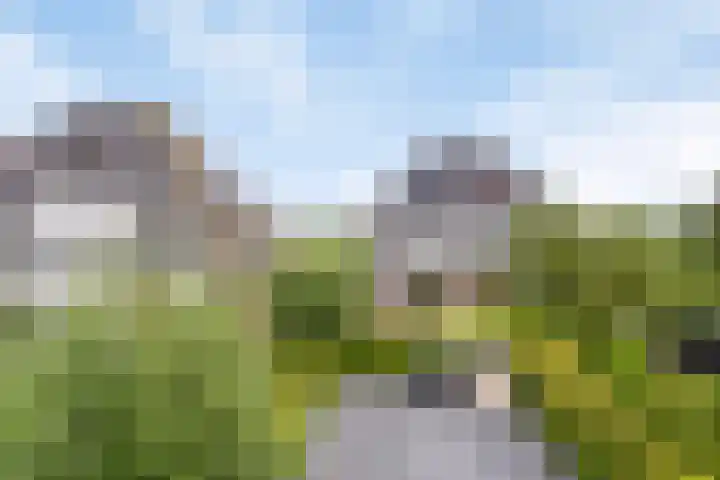 Brugdam 15 in Lage Zwaluwe
