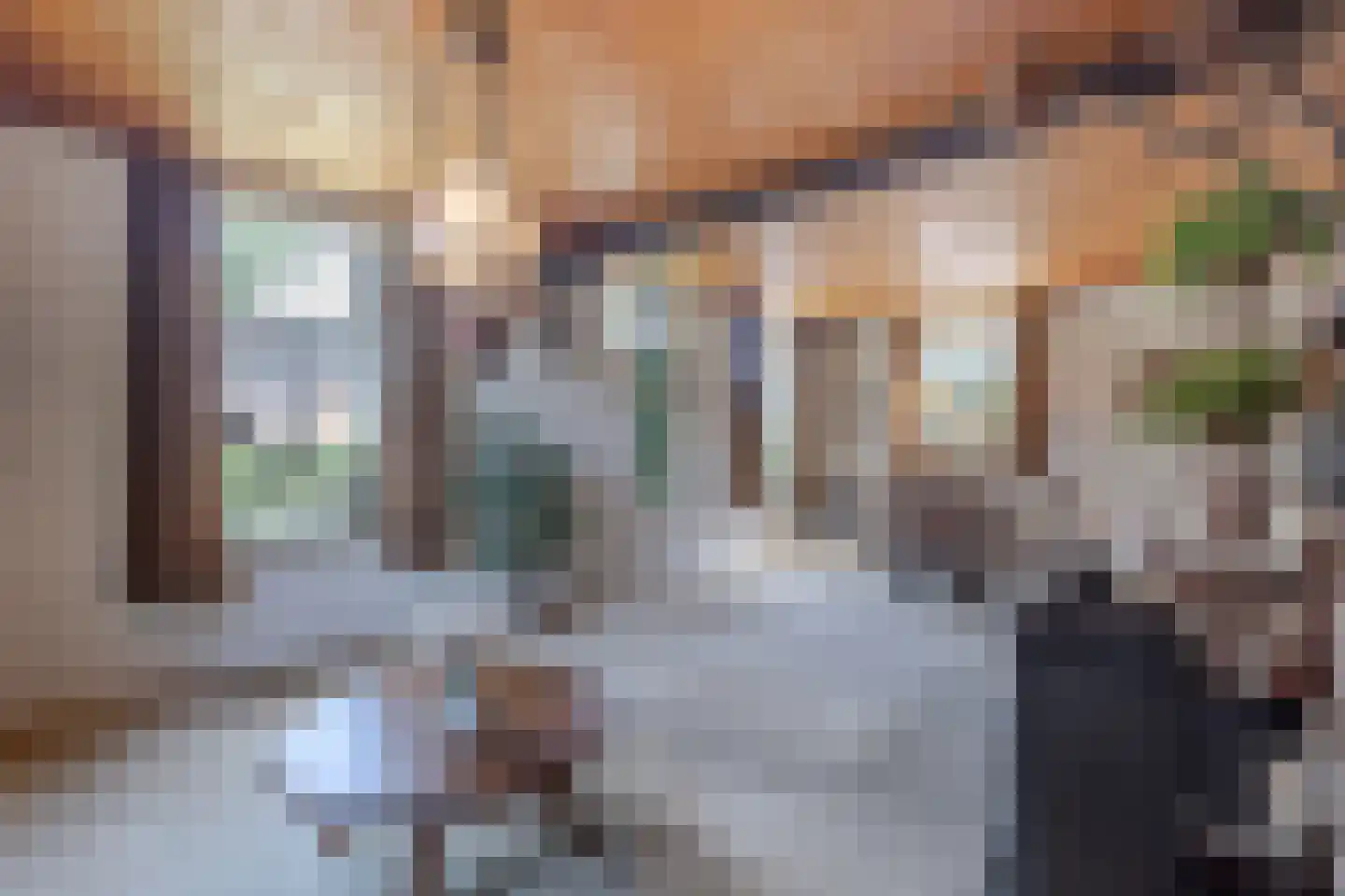 Brugdam 2 Almkerk thumbnail 12
