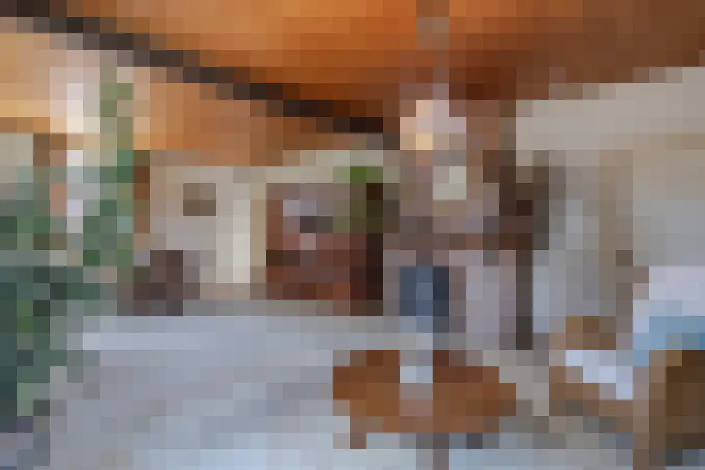 Brugdam 2 Almkerk thumbnail 13