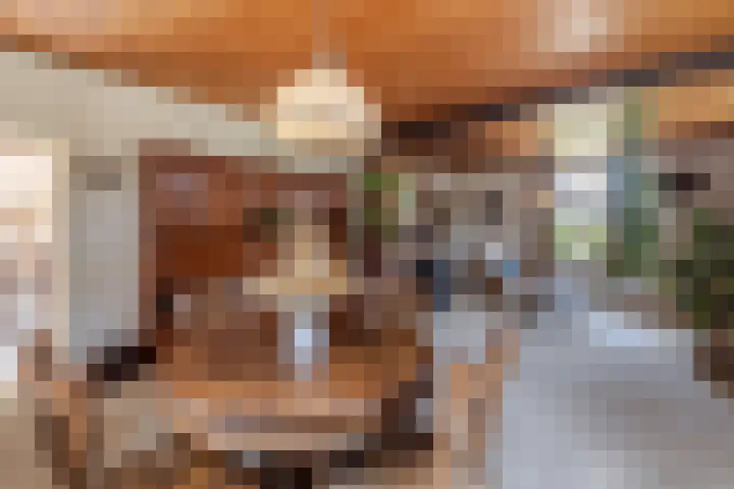 Brugdam 2 Almkerk thumbnail 14