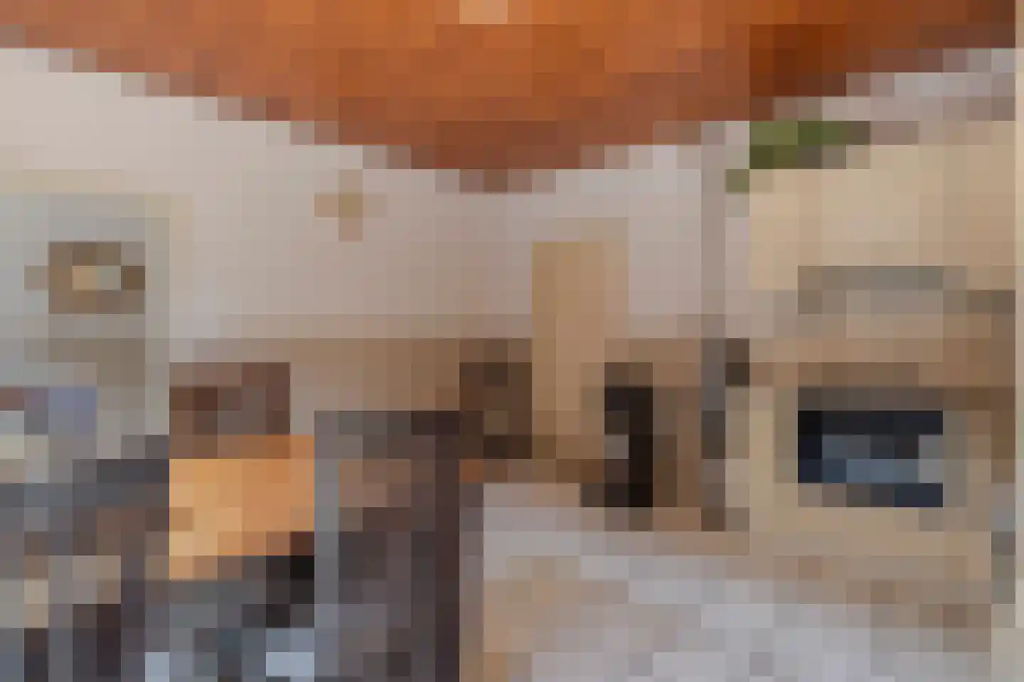 Brugdam 2 Almkerk thumbnail 15