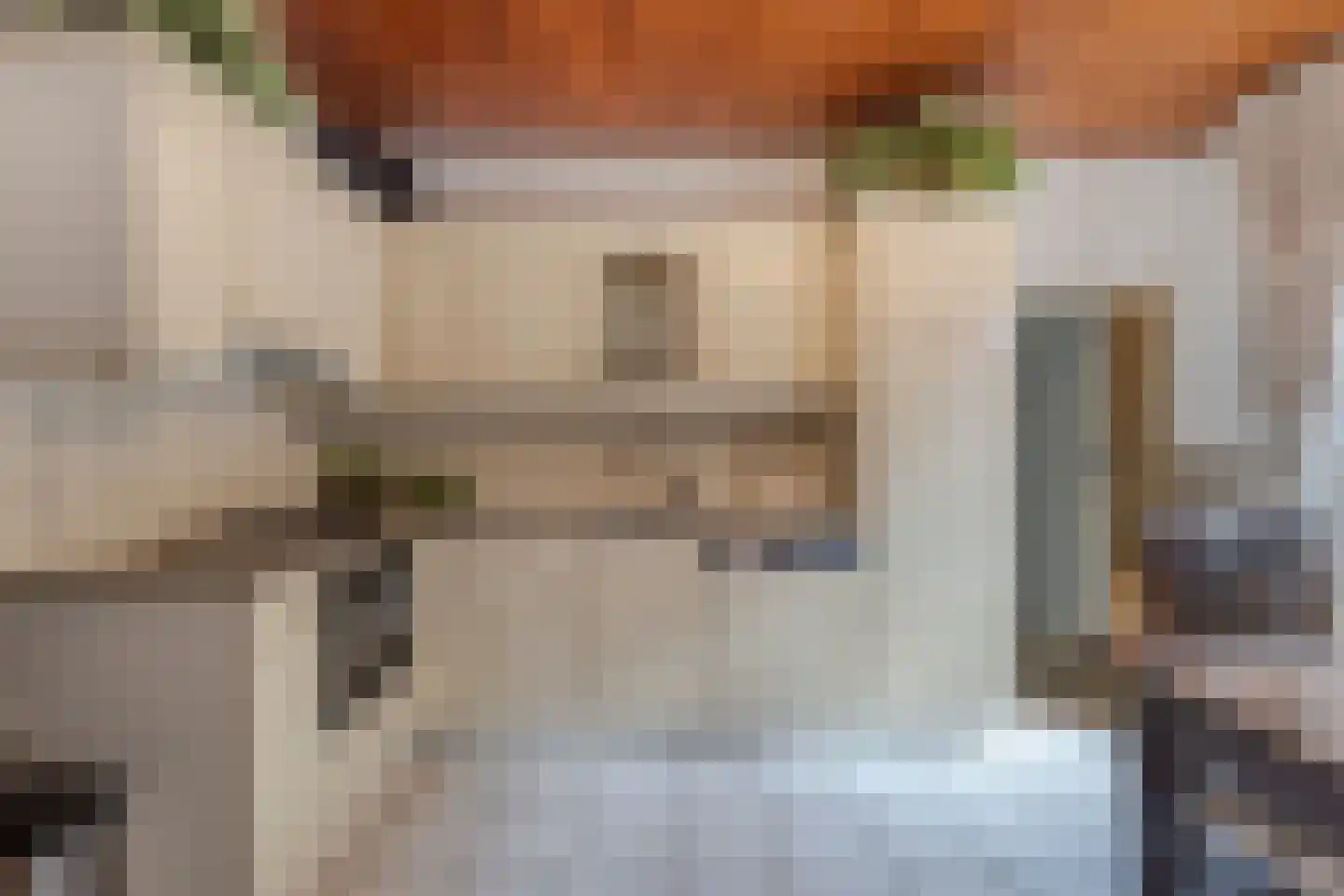 Brugdam 2 Almkerk thumbnail 16