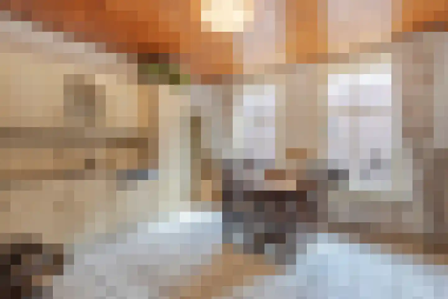 Brugdam 2 Almkerk thumbnail 17