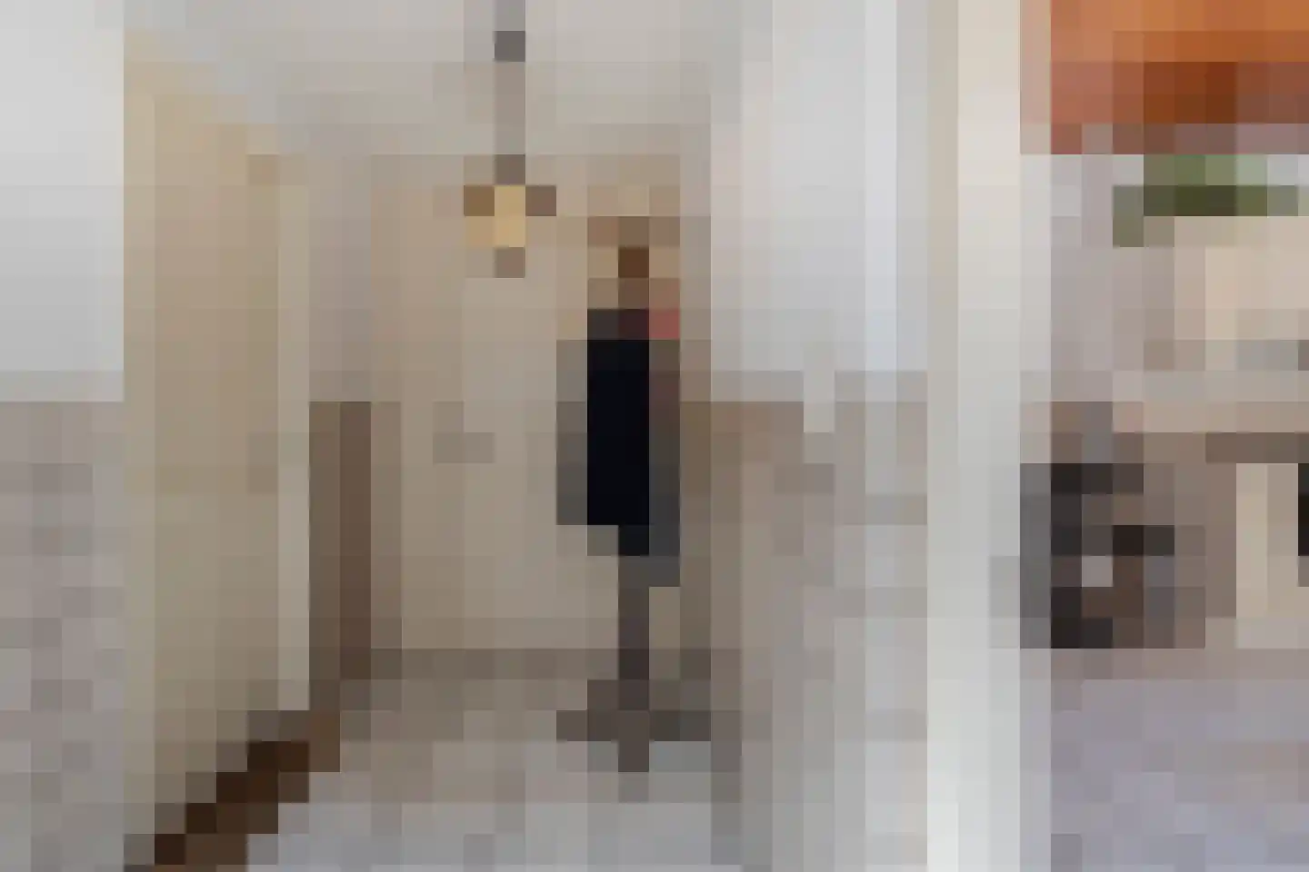 Brugdam 2 Almkerk thumbnail 19