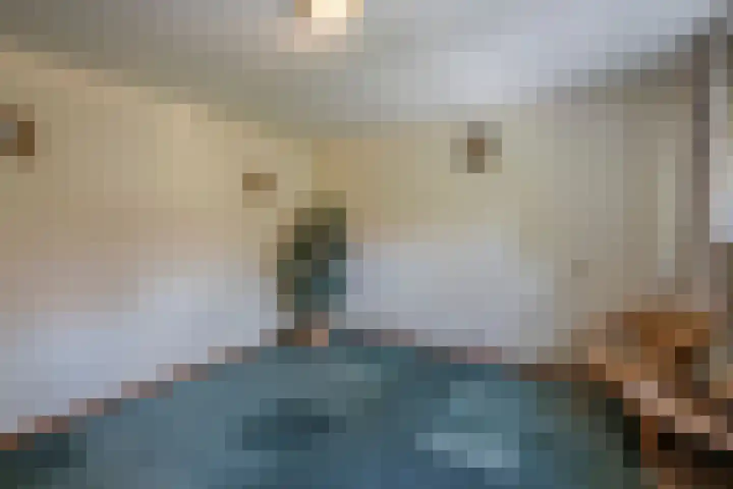 Brugdam 2 Almkerk thumbnail 23