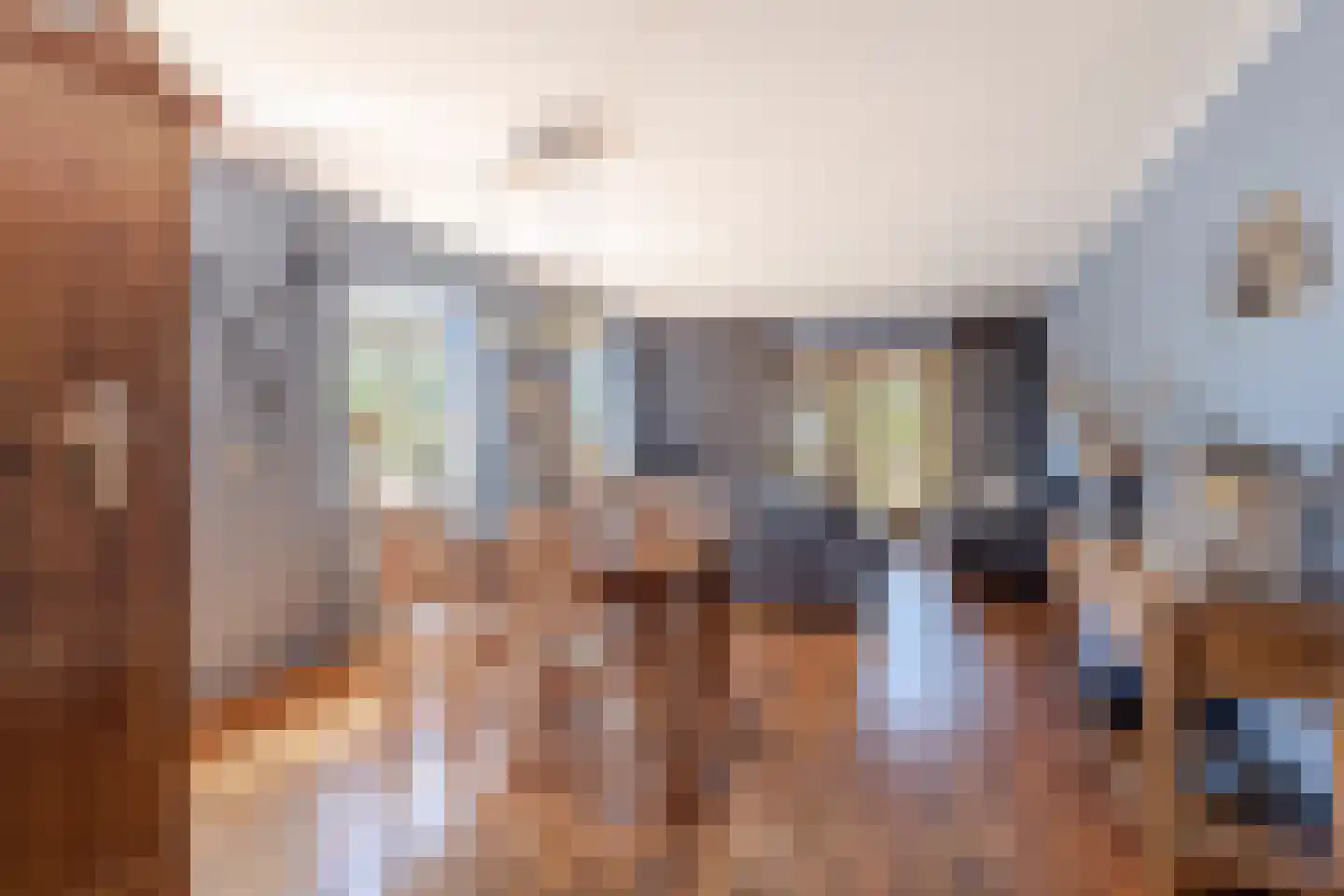 Brugdam 2 Almkerk thumbnail 26