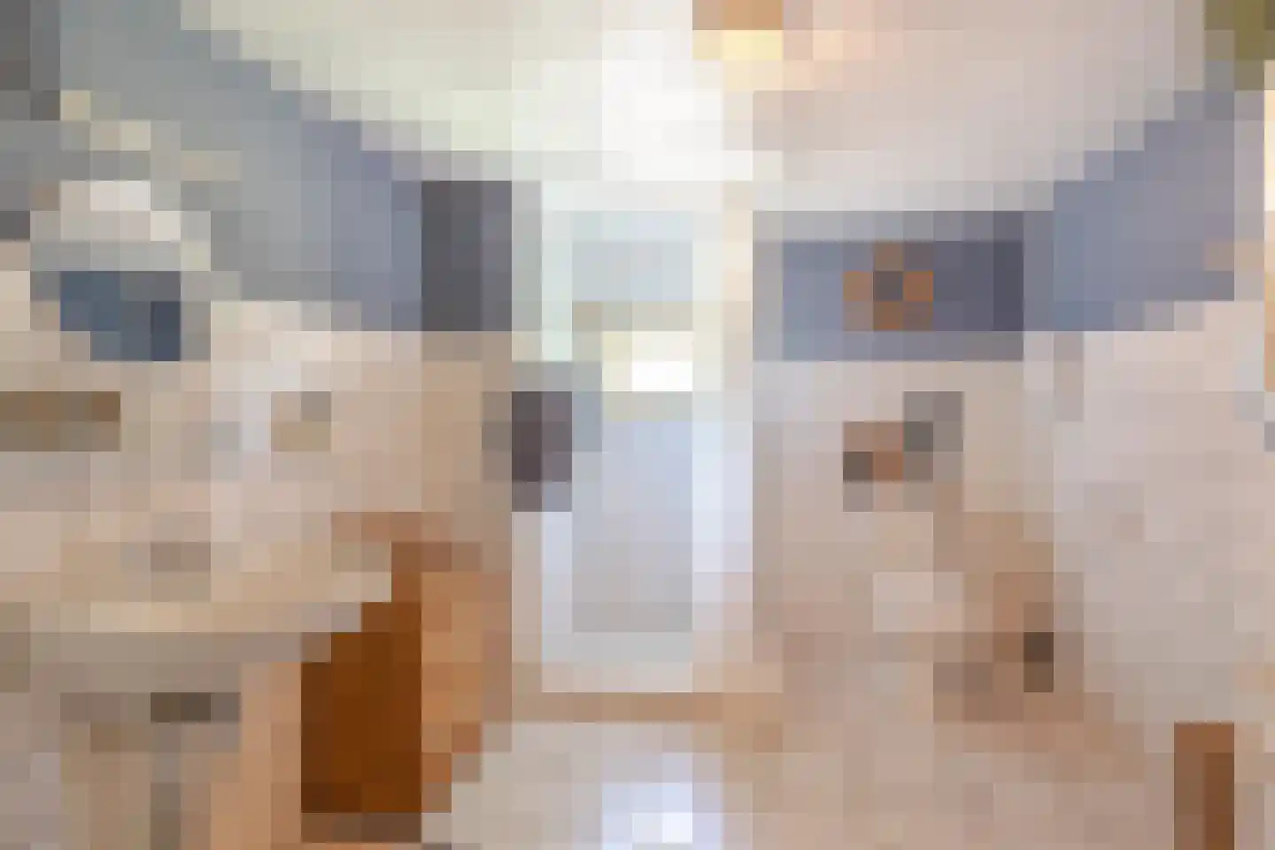 Brugdam 2 Almkerk thumbnail 34