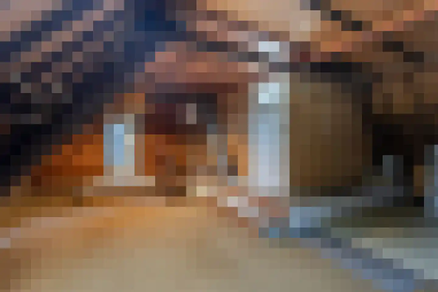 Brugdam 2 Almkerk thumbnail 36