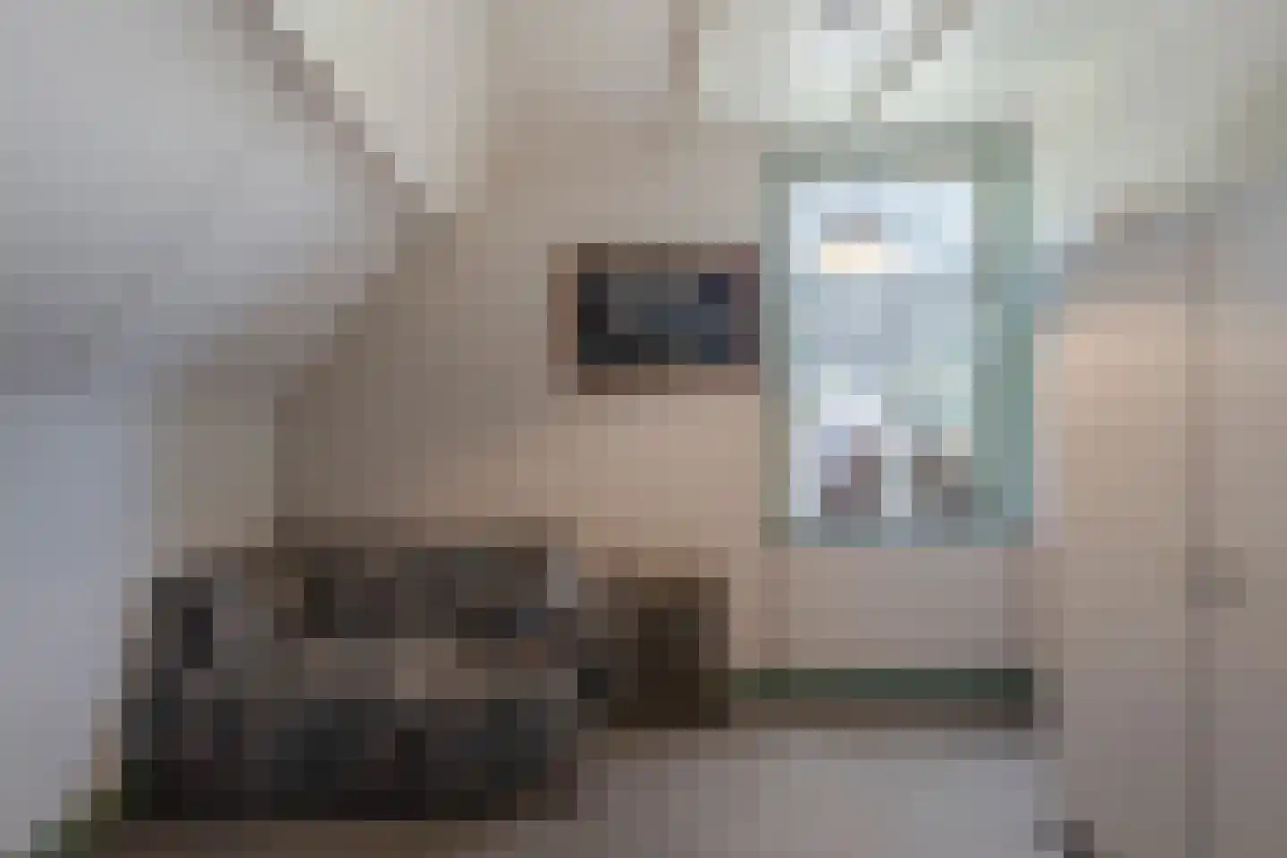 Brugdam 2 Almkerk thumbnail 39