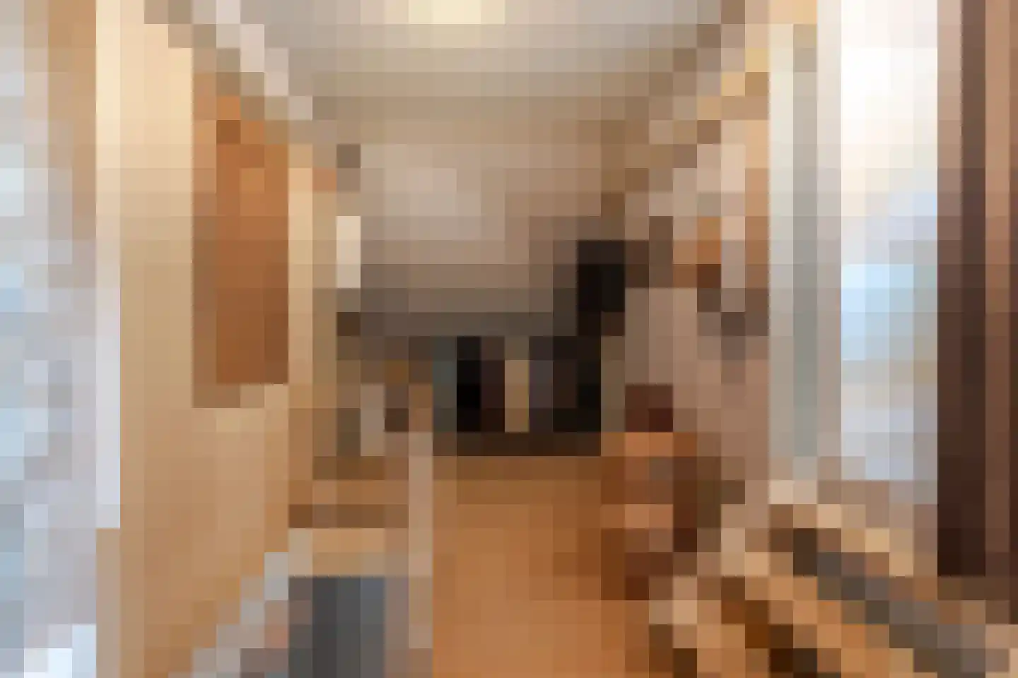 Brugdam 2 Almkerk thumbnail 42