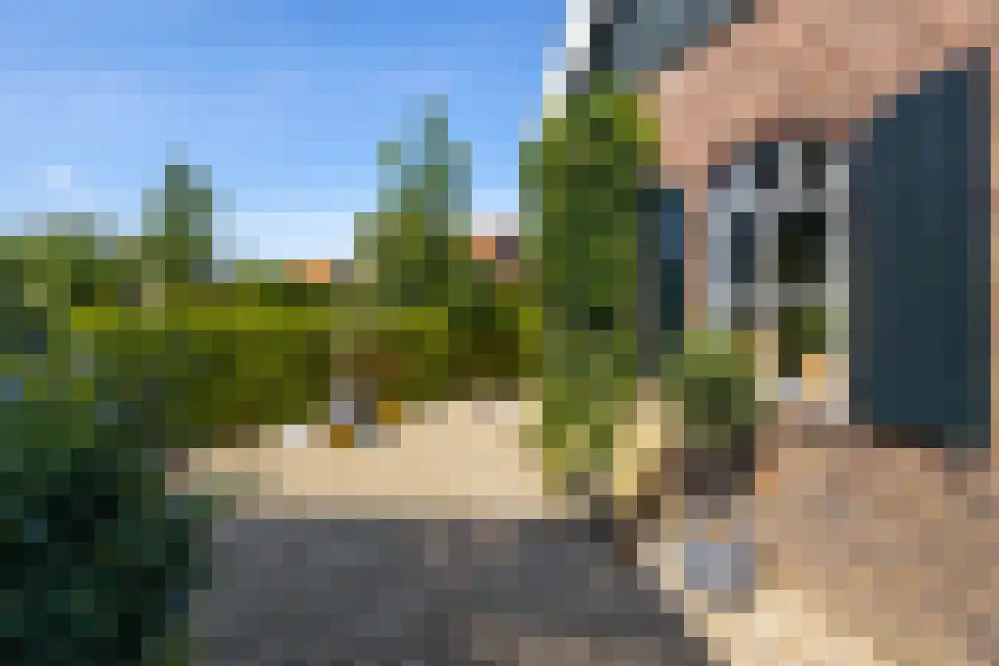 Brugdam 2 Almkerk thumbnail 50
