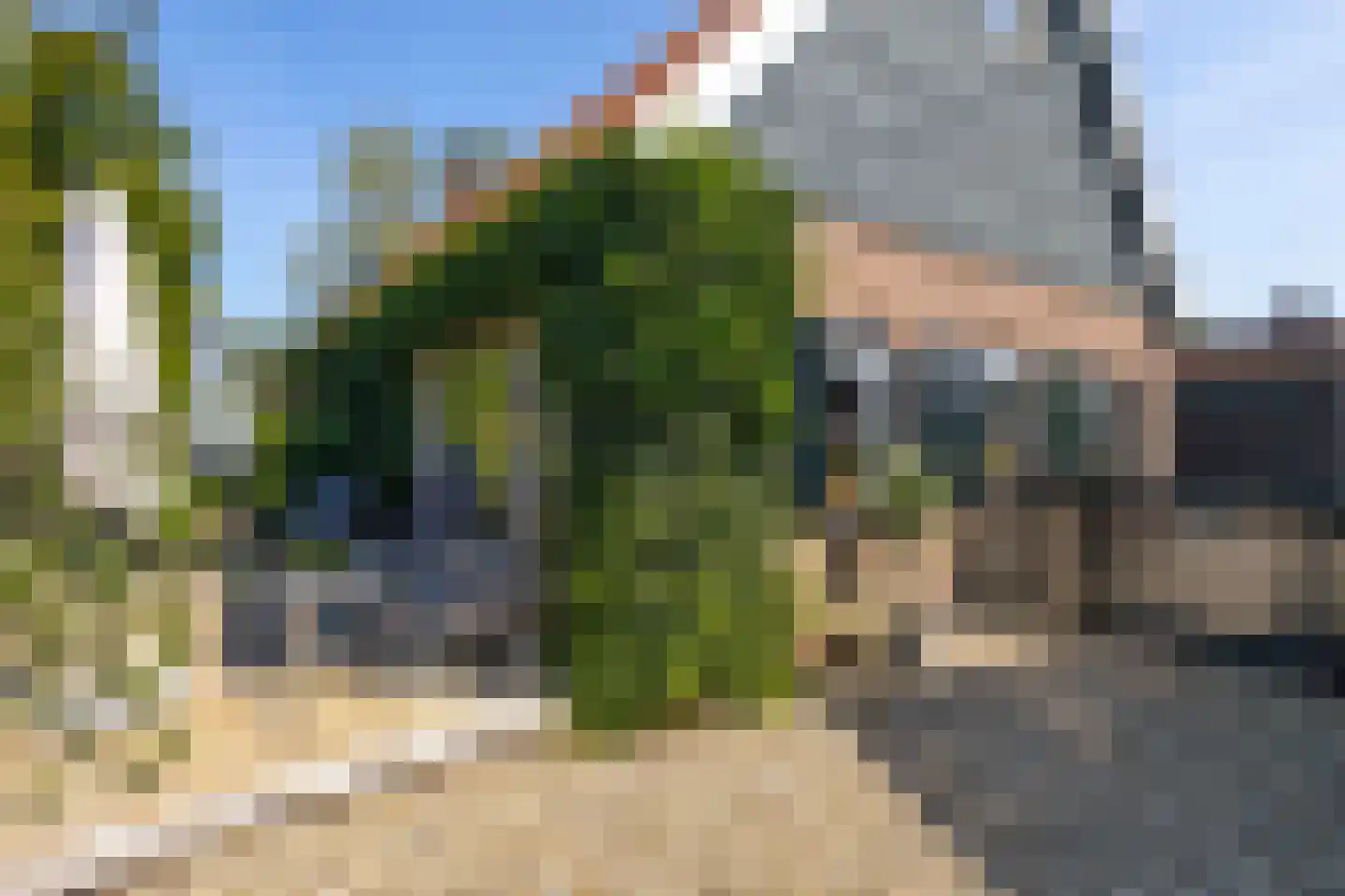Brugdam 2 Almkerk thumbnail 51
