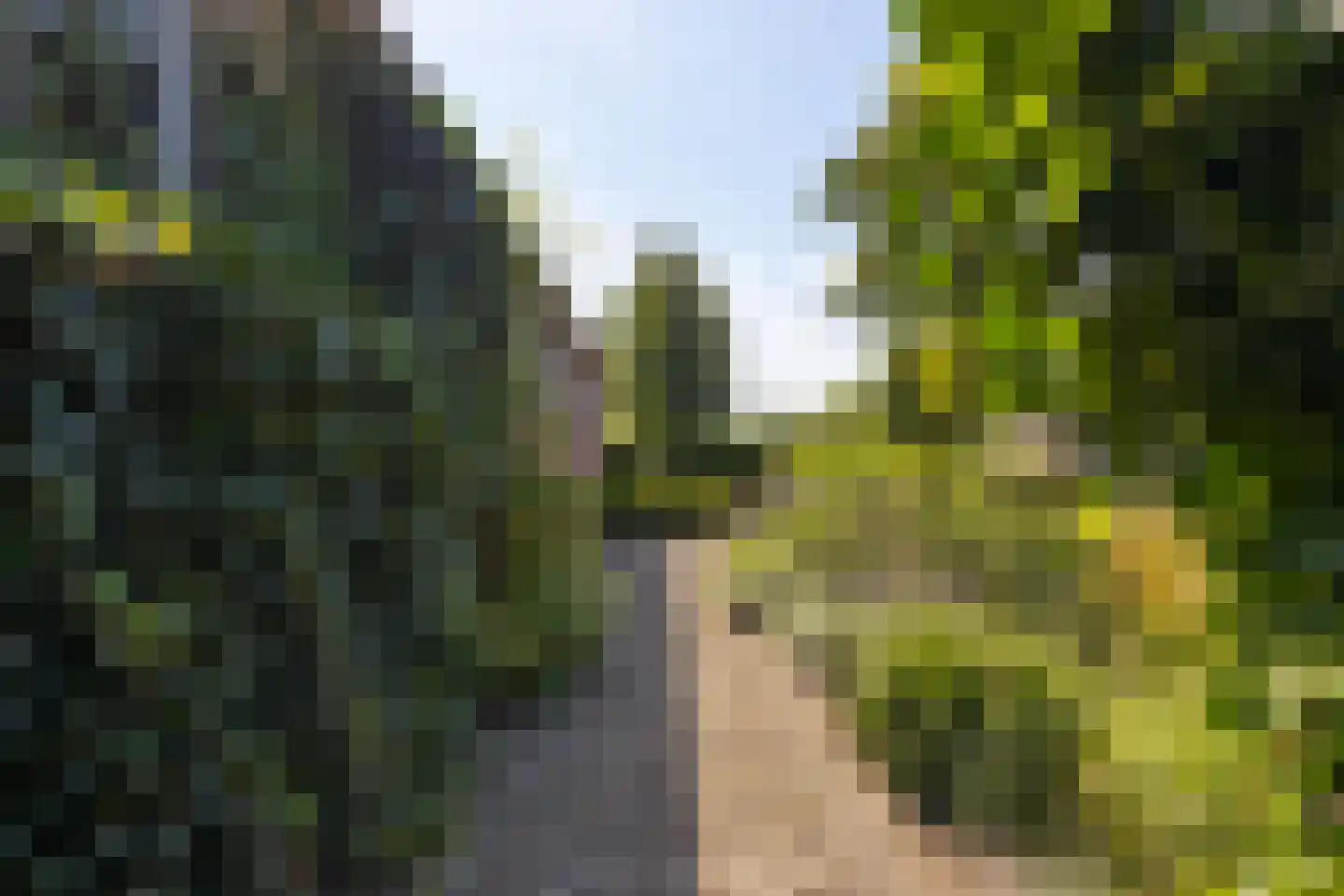 Brugdam 2 Almkerk thumbnail 55