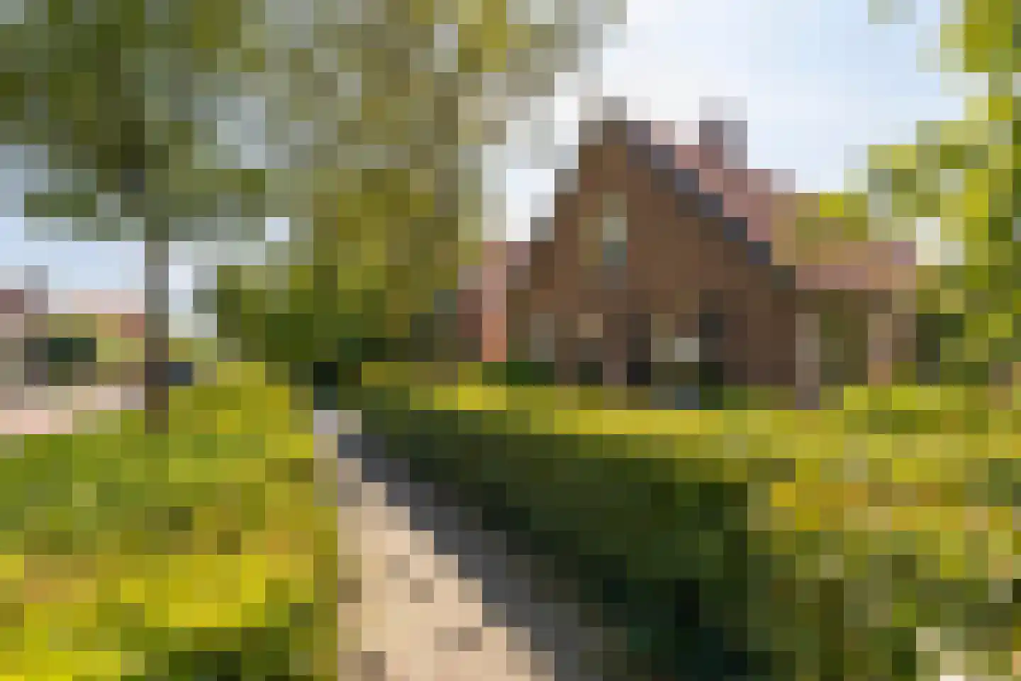 Brugdam 2 Almkerk thumbnail 6