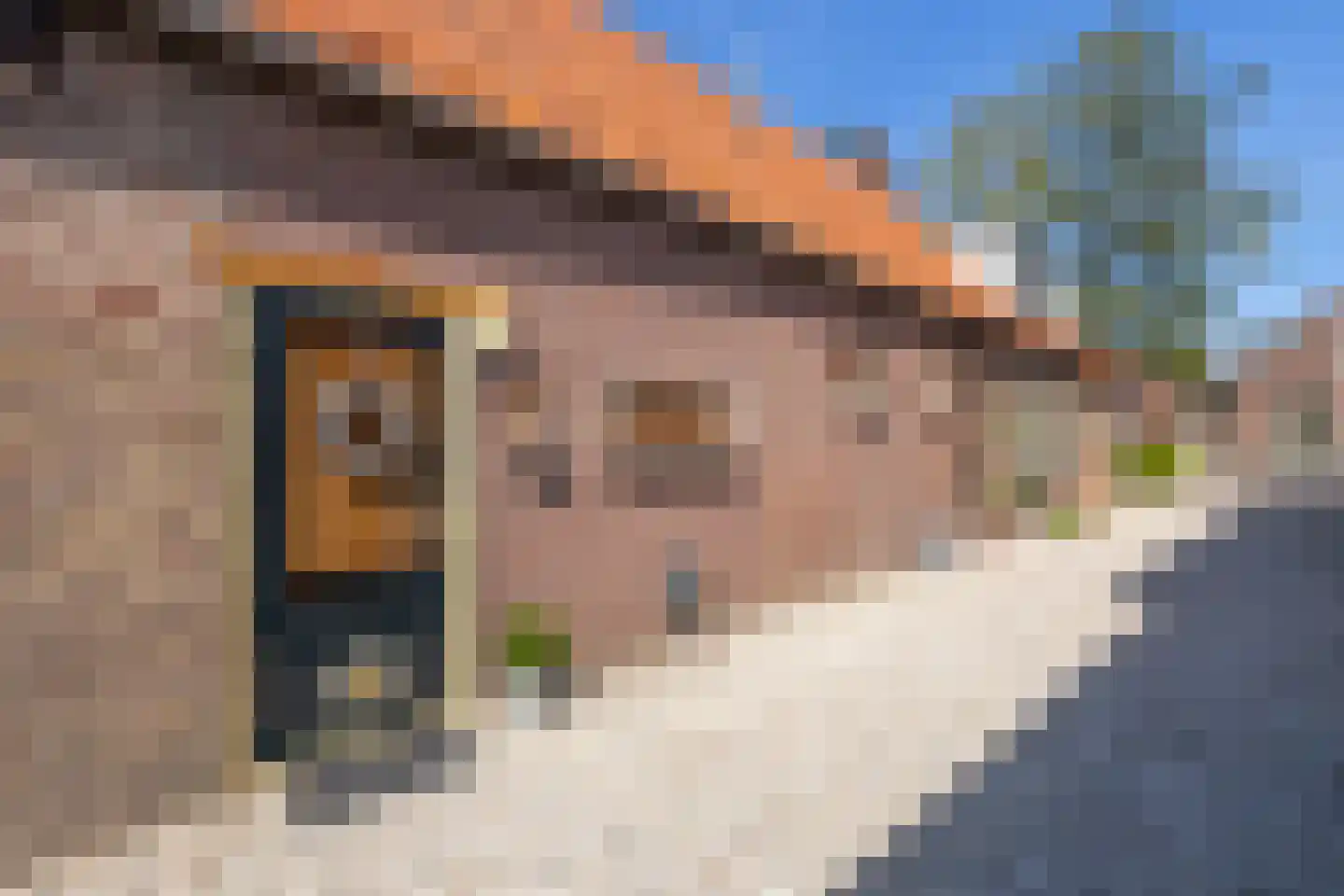 Brugdam 2 Almkerk thumbnail 61