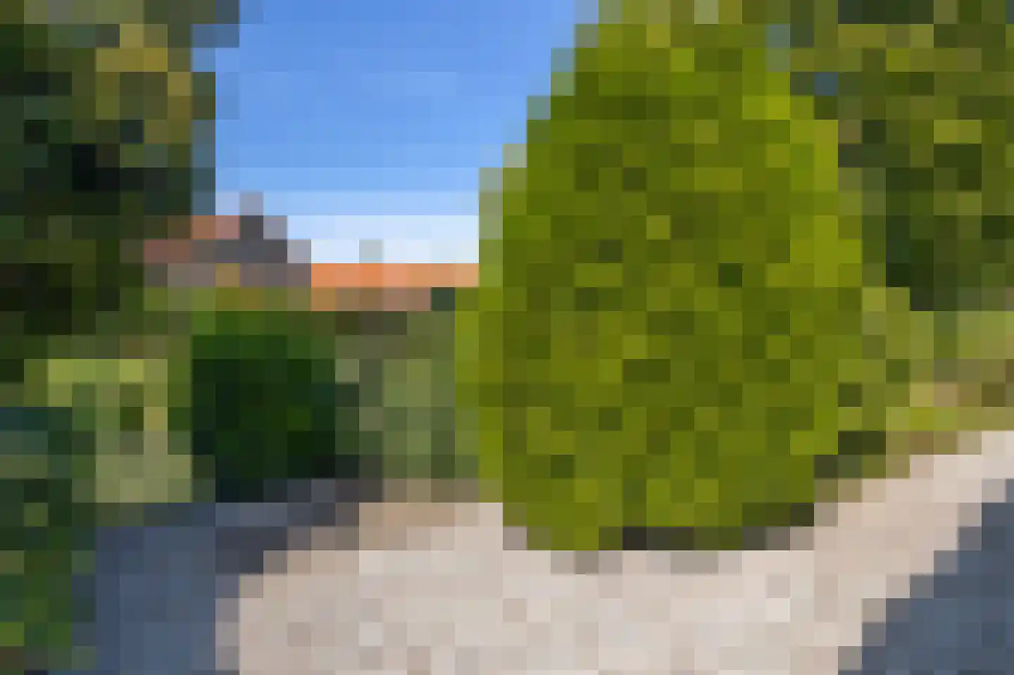 Brugdam 2 Almkerk thumbnail 66