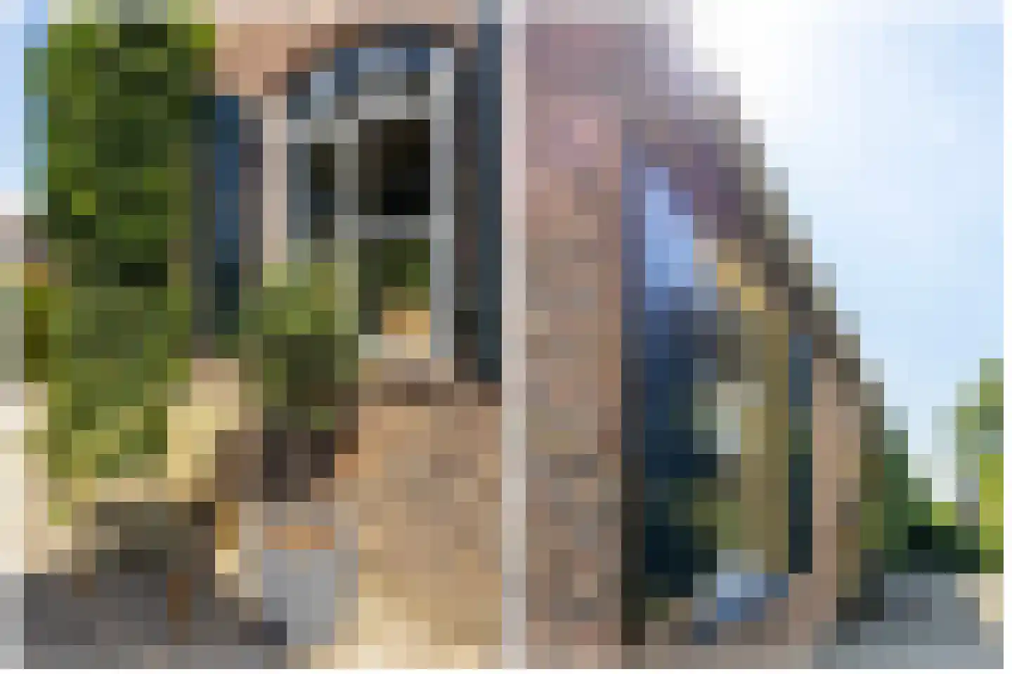 Brugdam 2 Almkerk thumbnail 68