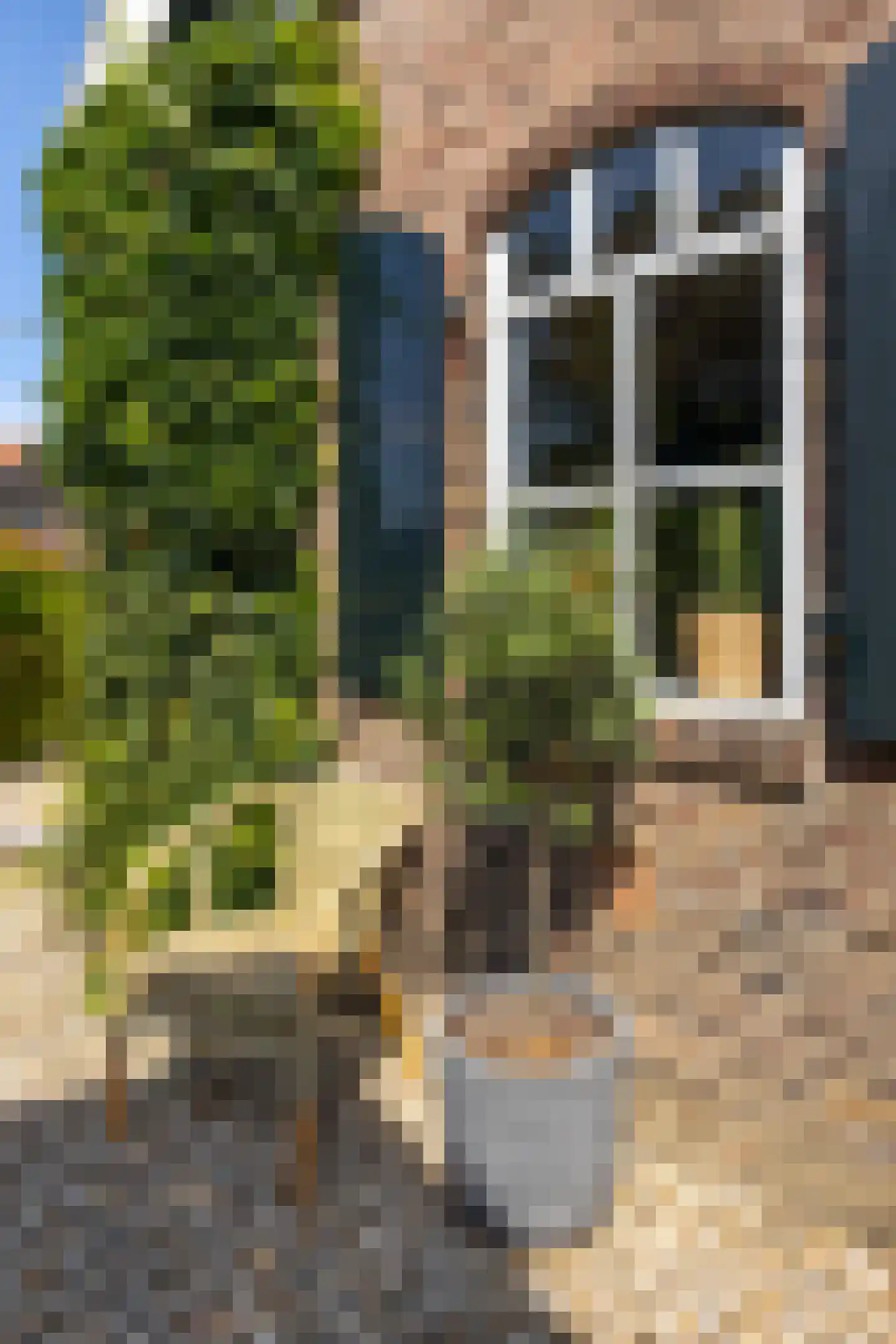 Brugdam 2 Almkerk thumbnail 69