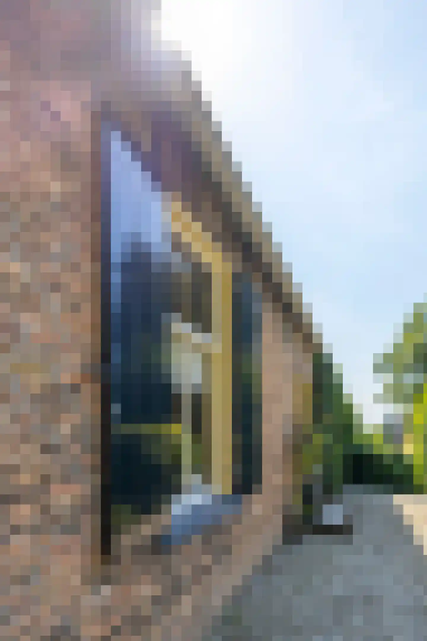 Brugdam 2 Almkerk thumbnail 70