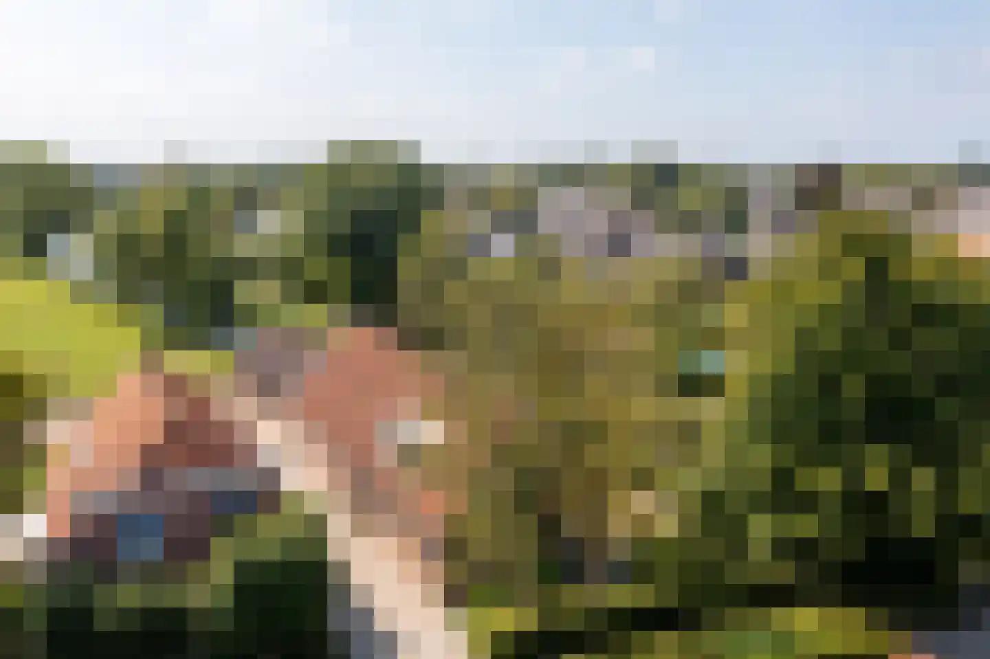 Brugdam 2 Almkerk thumbnail 75