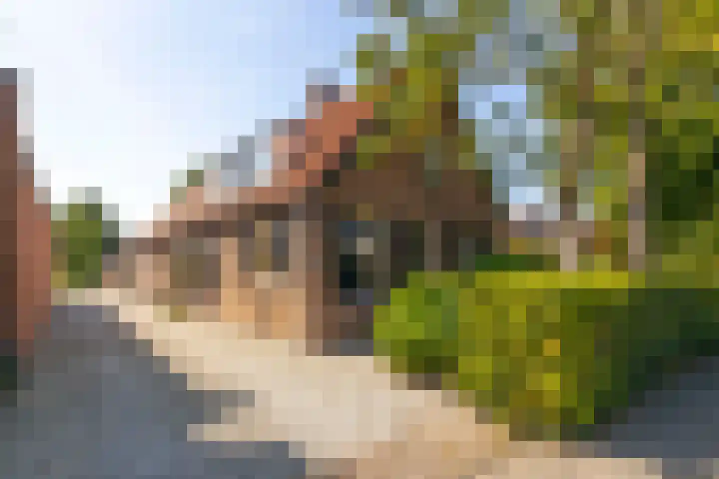 Brugdam 2 Almkerk thumbnail 8