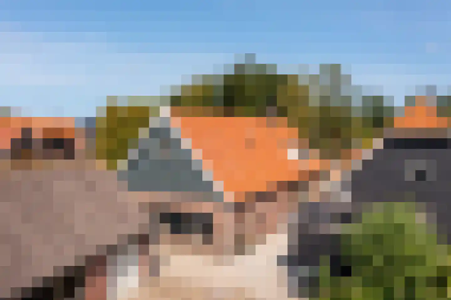 Brugdam 2 Almkerk thumbnail 80