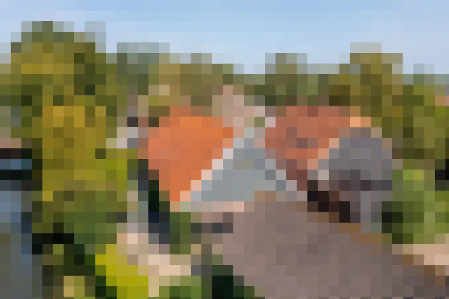 Brugdam 2 Almkerk thumbnail 82