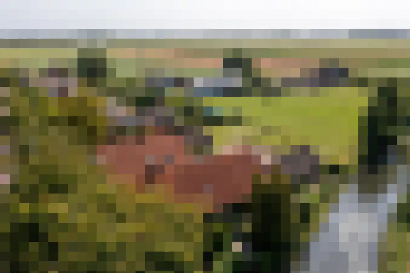 Brugdam 2 Almkerk thumbnail 84