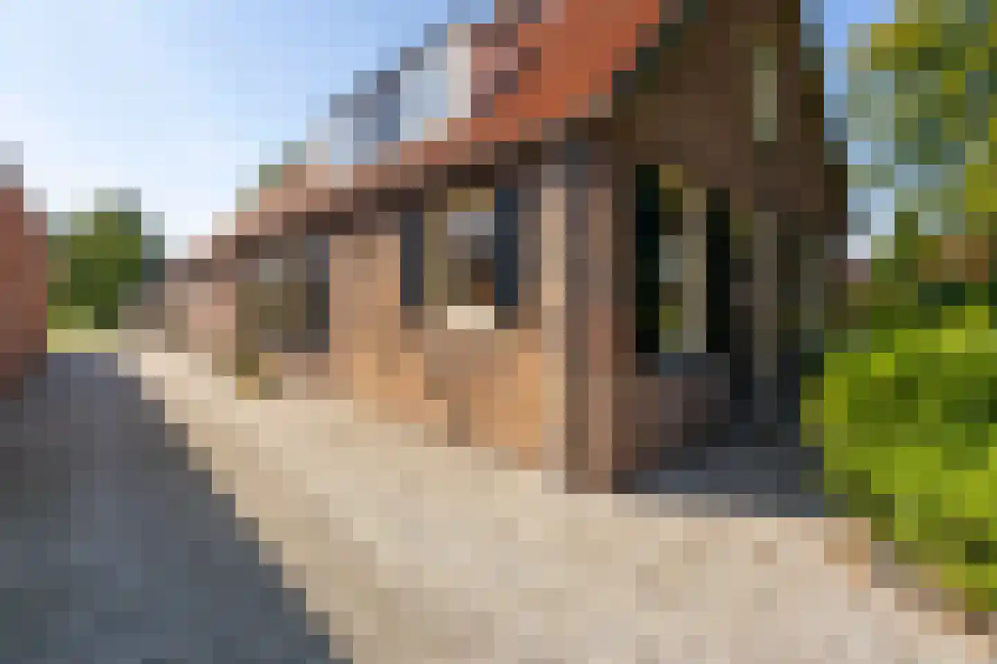 Brugdam 2 Almkerk thumbnail 9
