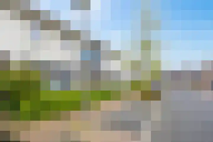 Bruggemaat 32 Borne thumbnail 22