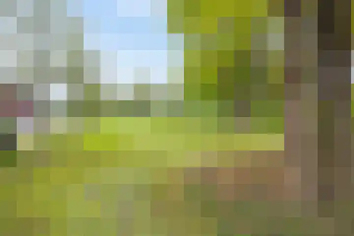 Bruggemaat 32 Borne thumbnail 24
