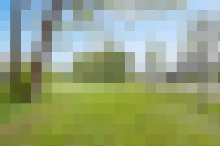 Bruggemaat 32 Borne thumbnail 25