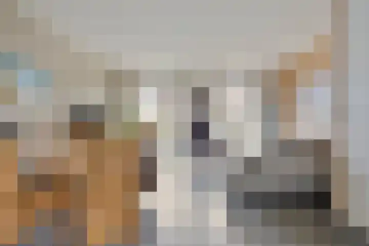 Bruggemaat 32 Borne thumbnail 8