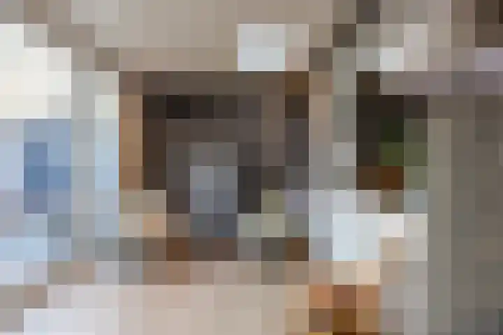 Brugse Berg 64 Mill thumbnail 13