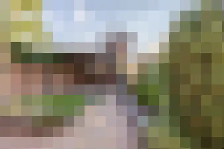 Brugse Berg 64 Mill thumbnail 28