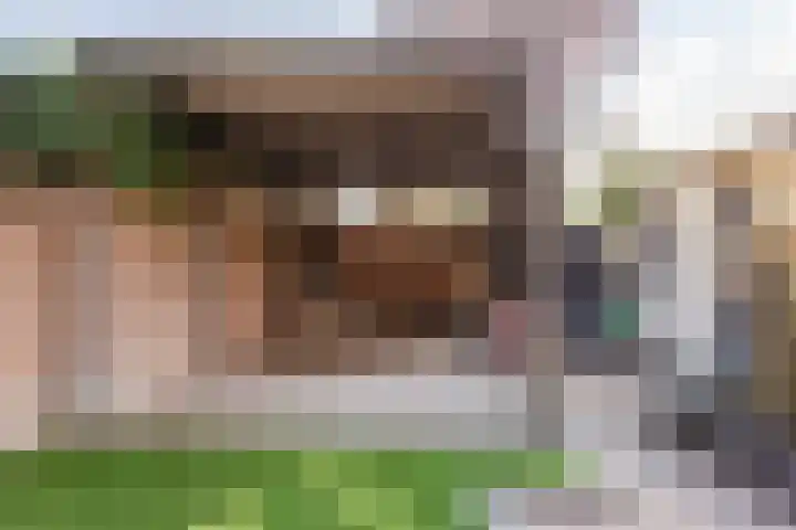 Brugse Berg 64 Mill thumbnail 29