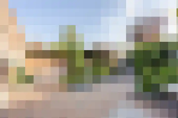 Brugse Berg 64 Mill thumbnail 4