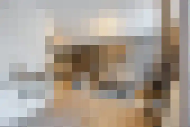Brugse Berg 64 Mill thumbnail 8