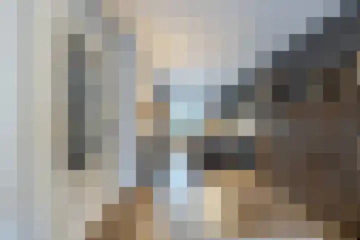 Brugse Berg 64 Mill thumbnail 9
