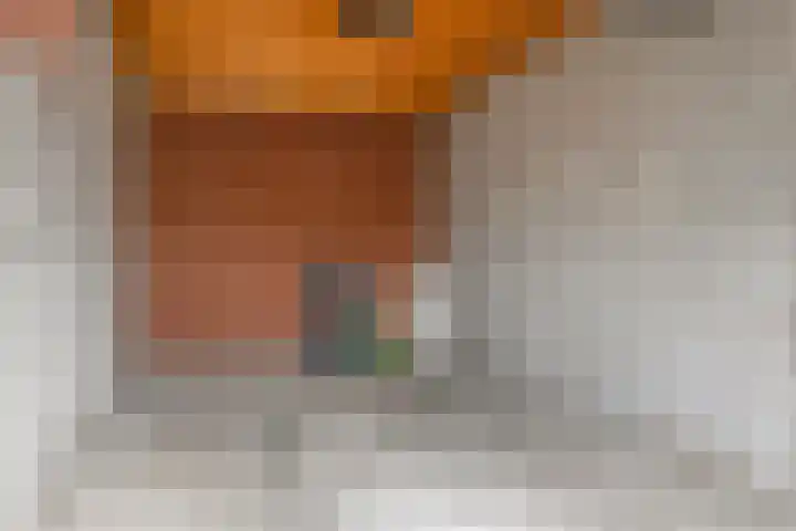Brugstraat 1 A Mierlo thumbnail 38