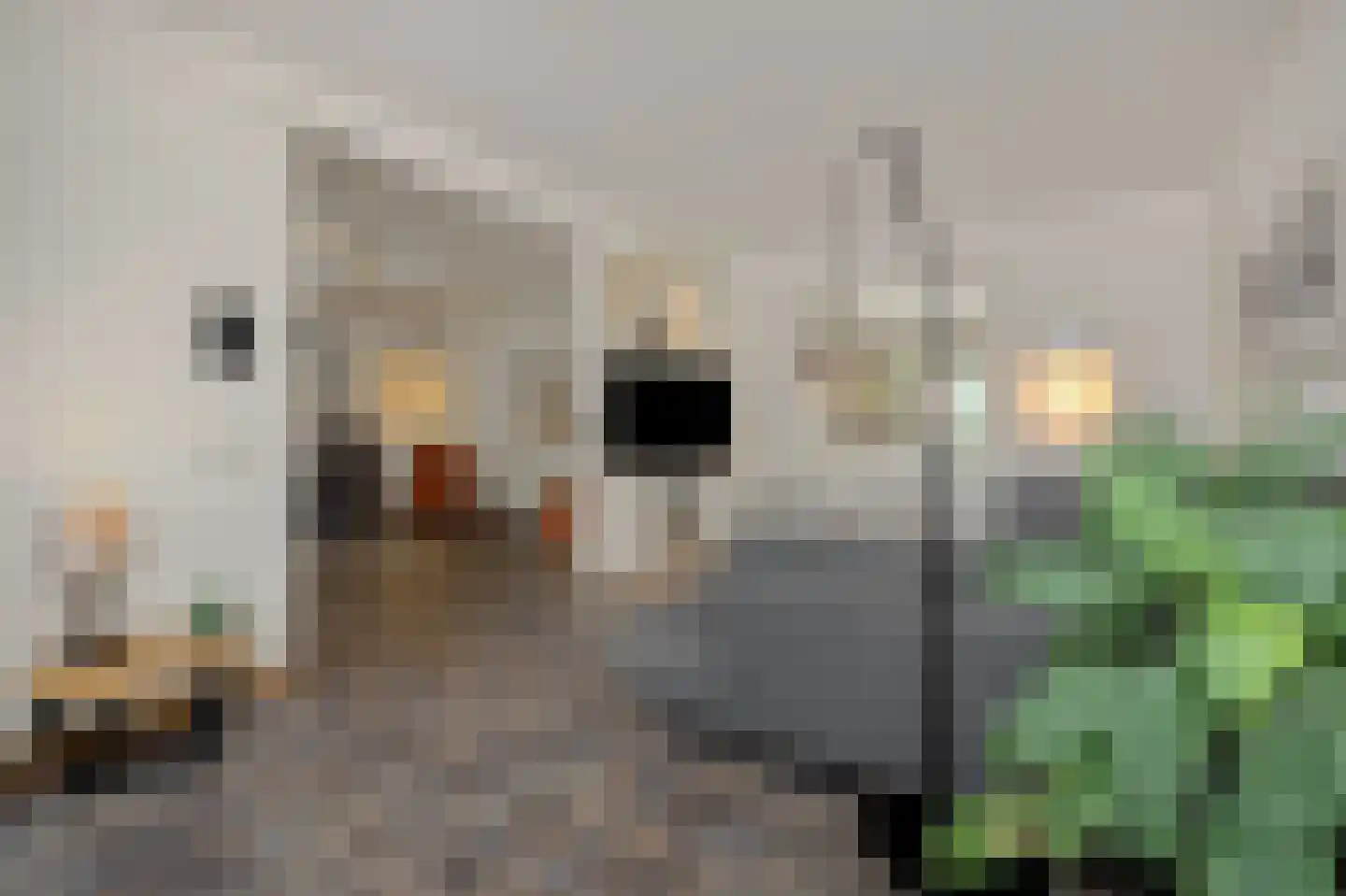 Brugstraat 14 Mierlo thumbnail 10
