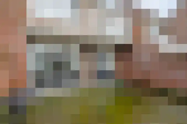 Brugstraat 5 Mierlo thumbnail 28