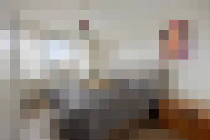 Brugstraat 5 Mierlo thumbnail 4