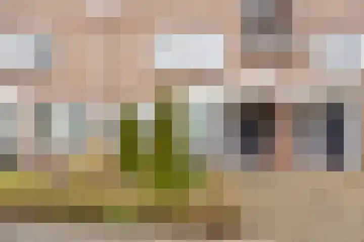 Brugstraat 5 Mierlo thumbnail 8