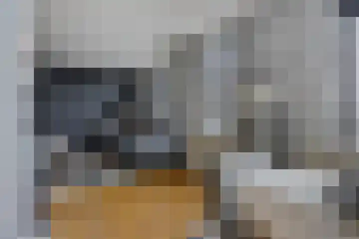 Brugstraat 5 Wanssum thumbnail 10